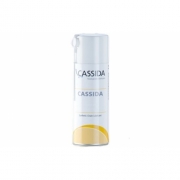 Cassida Grease GTS 2 Spray